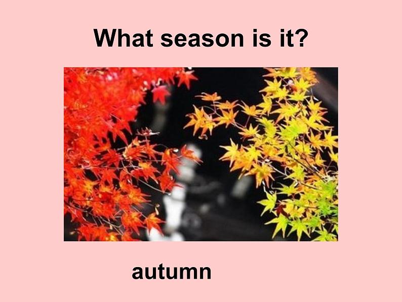 Unit2 My favourite season PartA 课件第4页