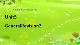 人教精通版小学英语六下 Unit5 General Revision2 Task5-6 课件