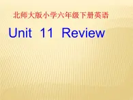 北师大版六下英语 Unit11 Review 课件