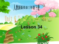 人教精通版英语三下 Unit6 Is this your skirt？(Lesson34) 课件