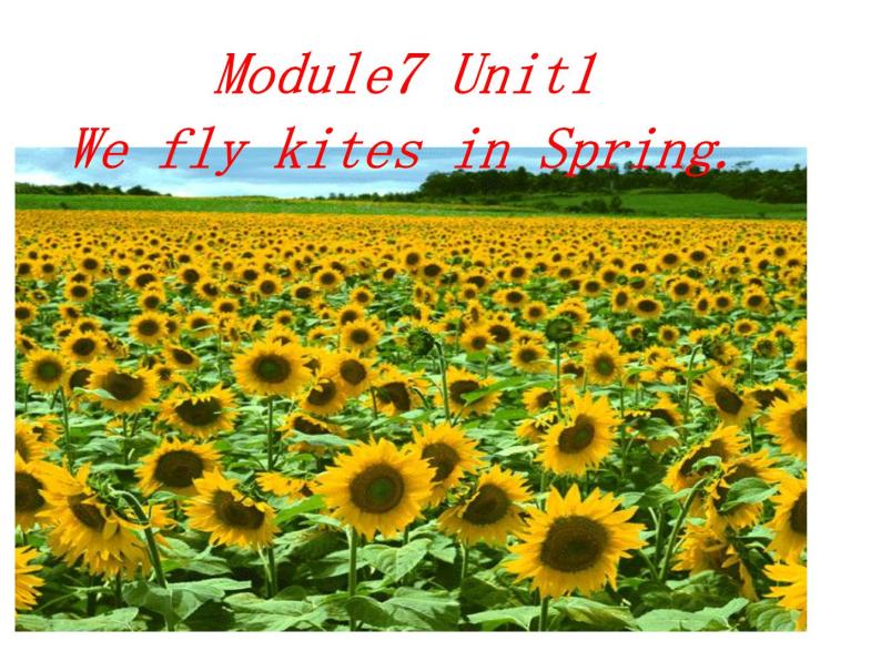 三年级英语下册课件-Module 7 Unit 1 We fly kites in spring.（1）-外研版（三起）01