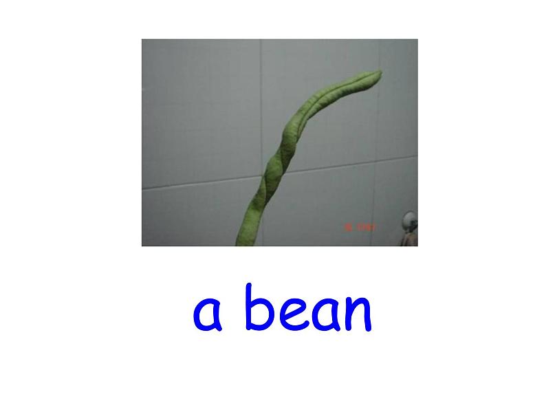 北师大版三下英语 Unit8 Vegetables lesson1 课件第7页