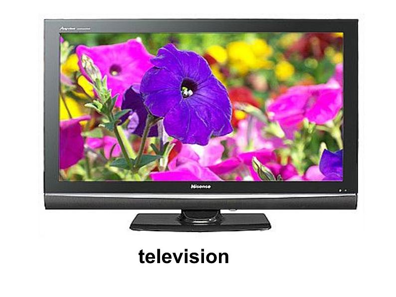 外研版(三起)小学英语五下 M1 U2 She didn 't have a television. 课件第8页