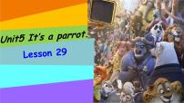小学英语人教精通版三年级下册Unit 5  It's a parrot.Lesson 29课堂教学课件ppt
