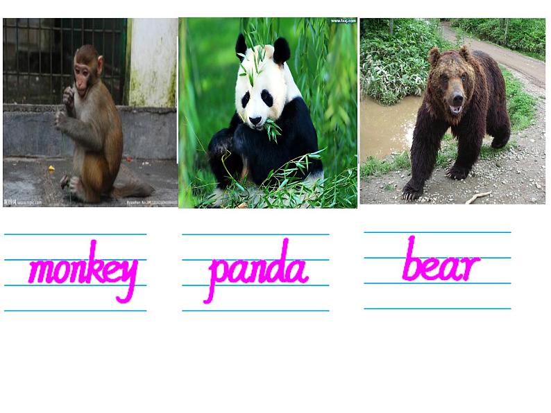 人教精通版小学英语四下 Unit6 Would you like to take a trip?(Lesson32) 课件03