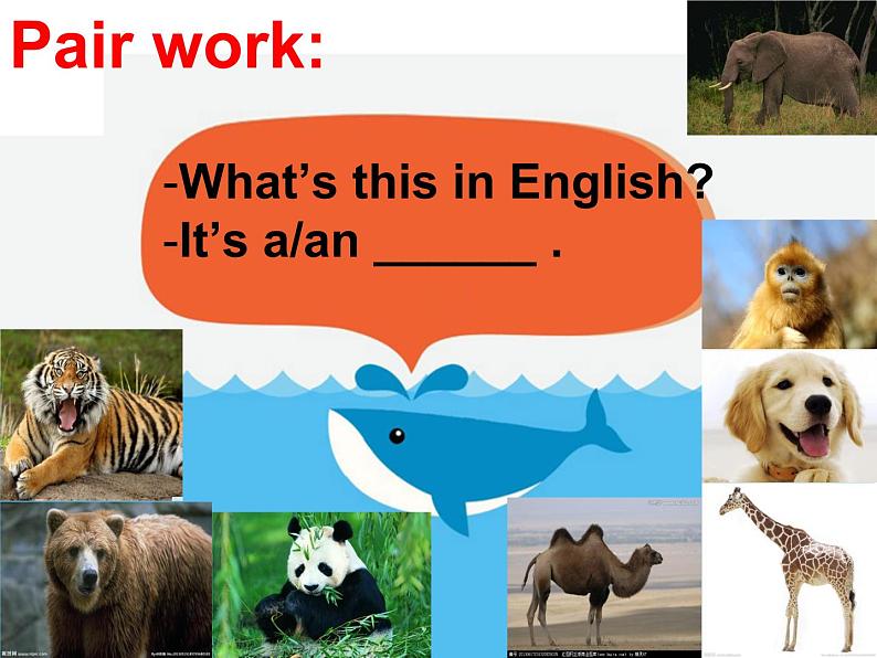 人教精通版小学英语四下 Unit6 Would you like to take a trip?(Lesson32) 课件07