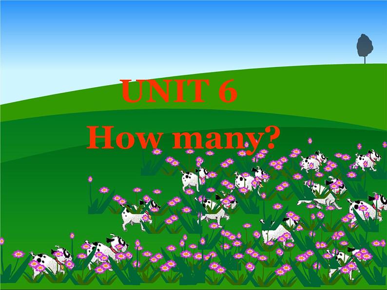 人教版(PEP)三下英语 Unit6 How many? partB 课件01