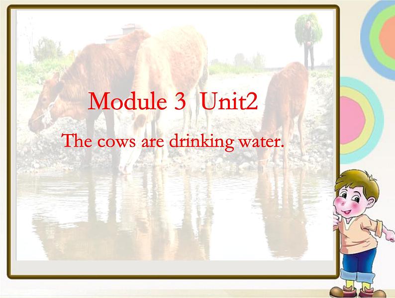 外研版(三起)小学英语六下 Module3 Unit2 The cows are drinking water. 课件第1页