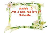 外研版 (三年级起点)四年级下册Module 10Unit 2 Sam had lots of chocolates.图片课件ppt