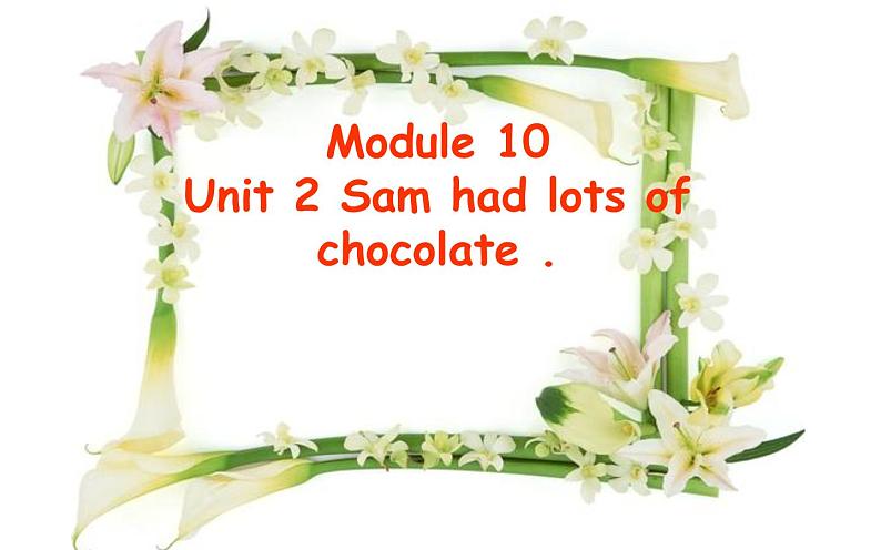 外研版(三起)小学英语四下 M10 U2 Sam had lots of chocolate. 课件01