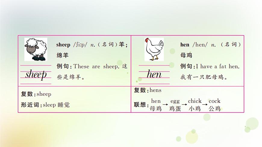 人教版英語四年級下冊Unit 4第五課時教學(xué)課件第5頁