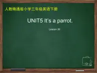 人教精通版小学英语三下 Unit5 It's a parrot.(Lesson26) 课件