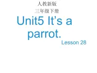 人教精通版小学英语三下 Unit5 It's a parrot.(Lesson28) 课件