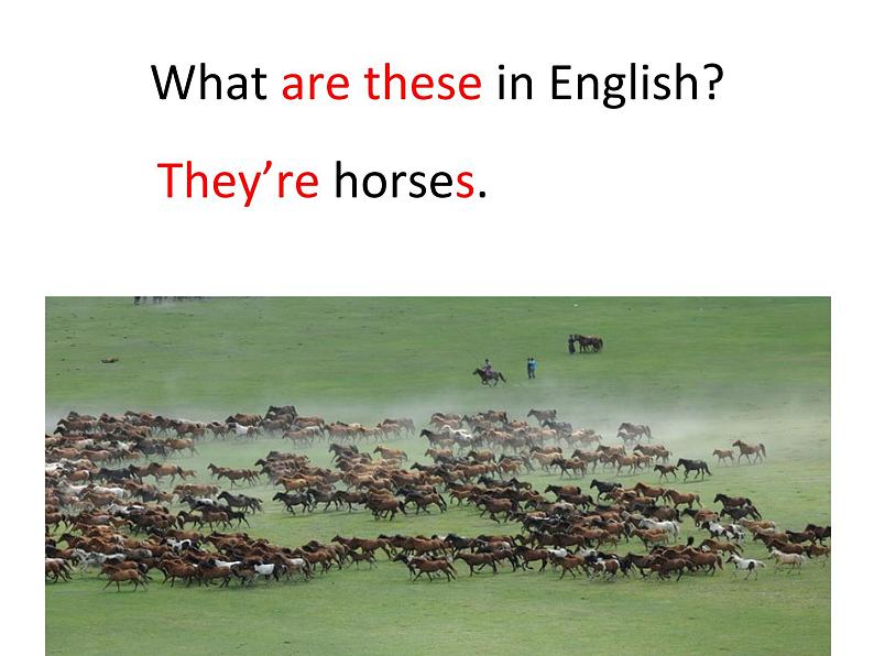 人教精通版小学英语四下 Unit6 Would you like to take a trip?(Lesson34) 课件06