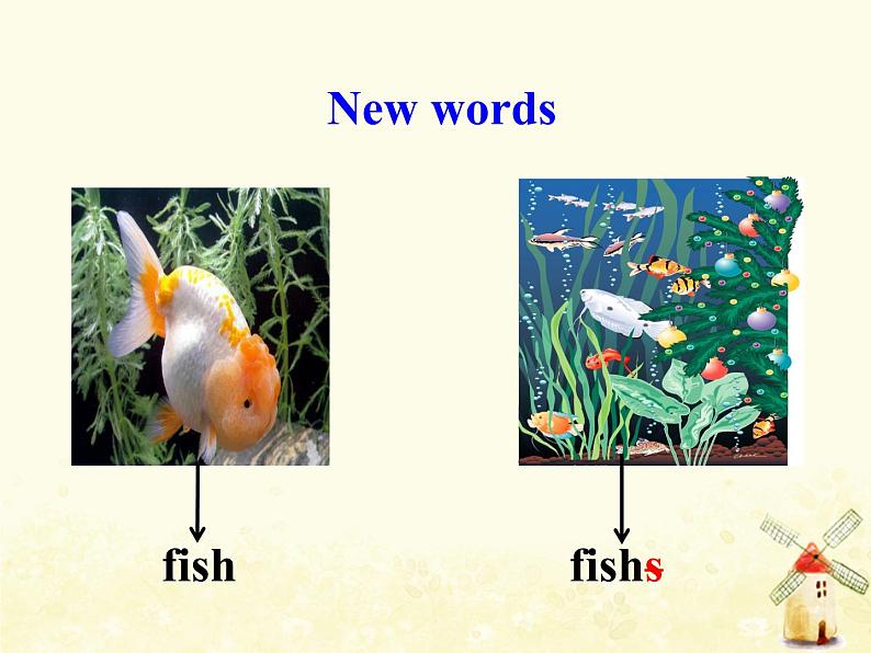 冀教版(三起)英语小学三年级下册U1-L3 Fish and Birds教学课件03