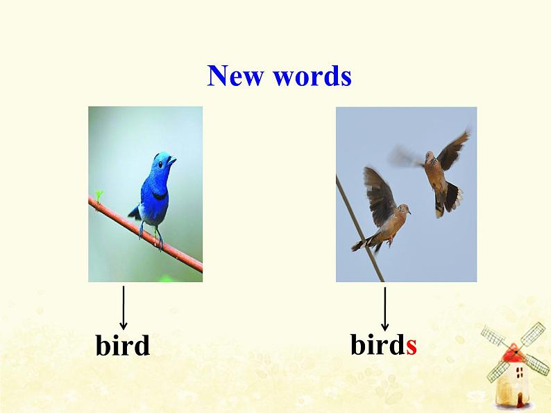 冀教版(三起)英语小学三年级下册U1-L3 Fish and Birds教学课件04
