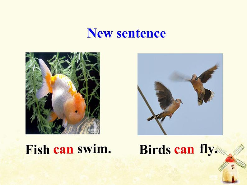 冀教版(三起)英语小学三年级下册U1-L3 Fish and Birds教学课件07