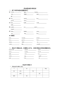 小升初名词复数专项练习（试题）-2021-2022学年英语六年级下册