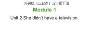 外研版 (三年级起点)五年级下册Module 1Unit 2 She didn't have a television.授课课件ppt