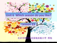 小学英语北京版2B Lesson23 unit6 Which season do you like部优课件