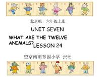 小学Lesson 24教课课件ppt