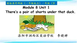 小学英语外研版1B Unit1 There's a pair of shorts under that duck 部优课件