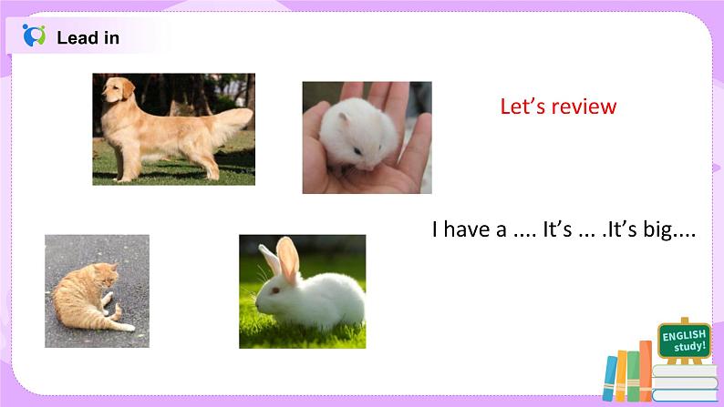 Unit 3 It has a short tail Period 1课件+教案+同步练习05