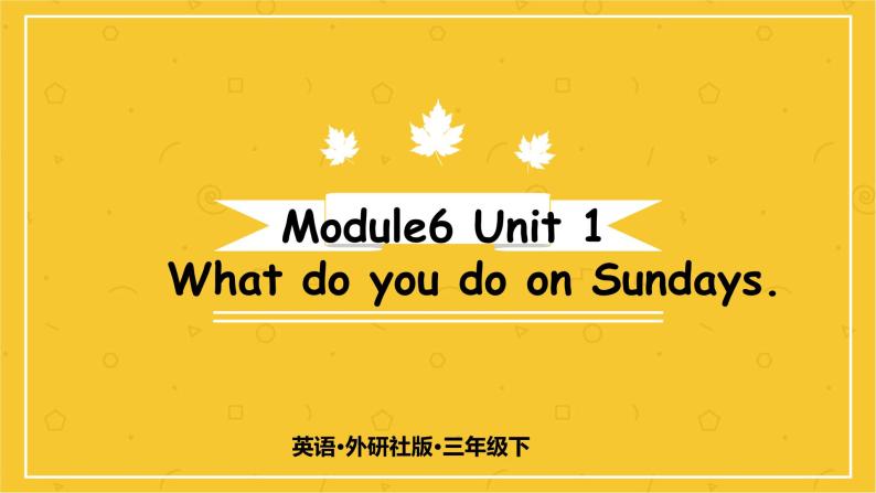 Module 6  Unit 1 What do you do on Sundays？  课件PPT+音视频素材01