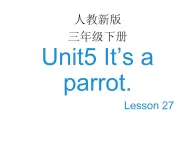 人教精通版小学英语三下 Unit5 It's a parrot.(Lesson27) 课件