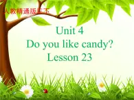 人教精通版小学英语三下 Unit4 Do you like candy？(Lesson23) 课件