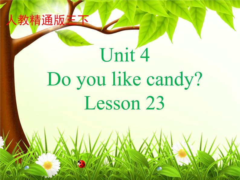 人教精通版小学英语三下 Unit4 Do you like candy？(Lesson23) 课件01