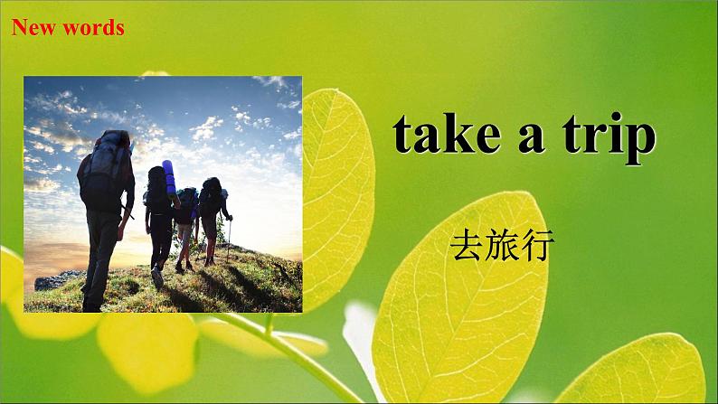 人教精通版小学英语四下 Unit6Would you like to take a trip?(Lesson31) 课件第5页