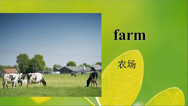 人教精通版小学英语四下 Unit6Would you like to take a trip?(Lesson31) 课件第7页