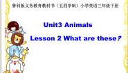 鲁科版 (五四制)三年级下册Lesson 2 What are these?说课课件ppt
