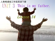 人教精通版小学英语三下 Unit3 This is my father.(Lesson14) 课件