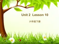 人教精通版小学英语六下 Unit2 There is a park near my home.(Lesson10) 课件