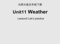 北师大版五下英语 Unit11 Weather Lesson2 课件