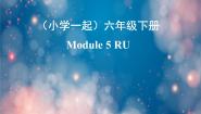 外研版 (一年级起点)六年级下册Module 5模块综合与测试课前预习ppt课件