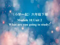 《英语》（新标准）（一年级起点）六年级下册M10第二课时课件设计