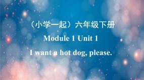 英语六年级下册Unit 1 I want a hot dog，please.课文课件ppt