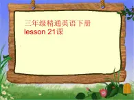 人教精通版小学英语三下 Unit4 Do you like candy？(Lesson21) 课件