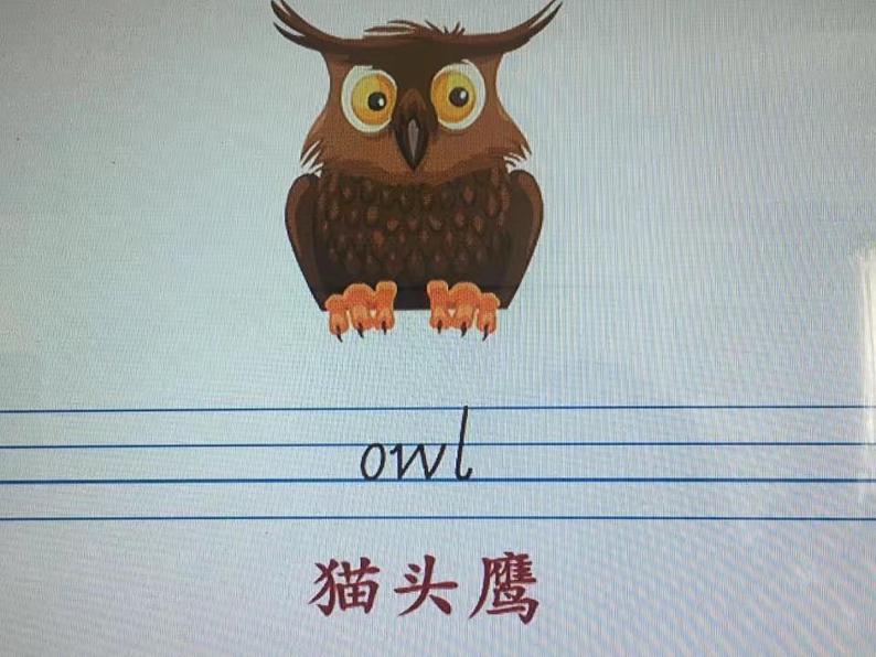 人教精通版小学英语三下 Unit5 It 's a parrot.(Lesson27) 课件第3页