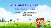 2021学年Unit 5 What Is He like？教学ppt课件