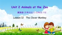 小学英语Unit 2 Animals at the ZooLesson 12 The Clever Monkey教学ppt课件