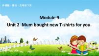 小学英语外研版 (三年级起点)五年级下册Unit 2 Mum bought new T-shirts for you.教学ppt课件