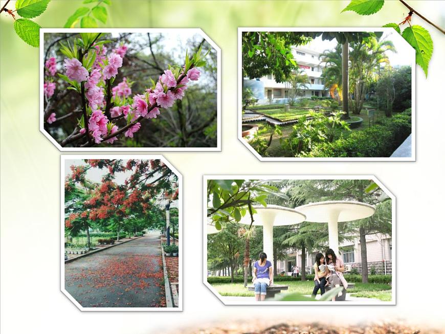 人教精通版小學英語五下 Unit1 Welcome to our school(Lesson6) 課件第3頁