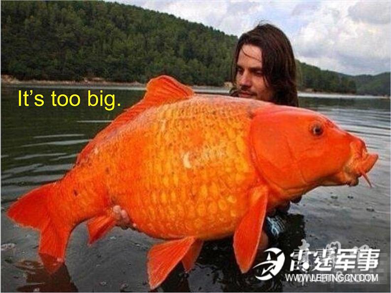 外研版(三起)小学英语五下 M5 U2 It's too big for you. 课件07