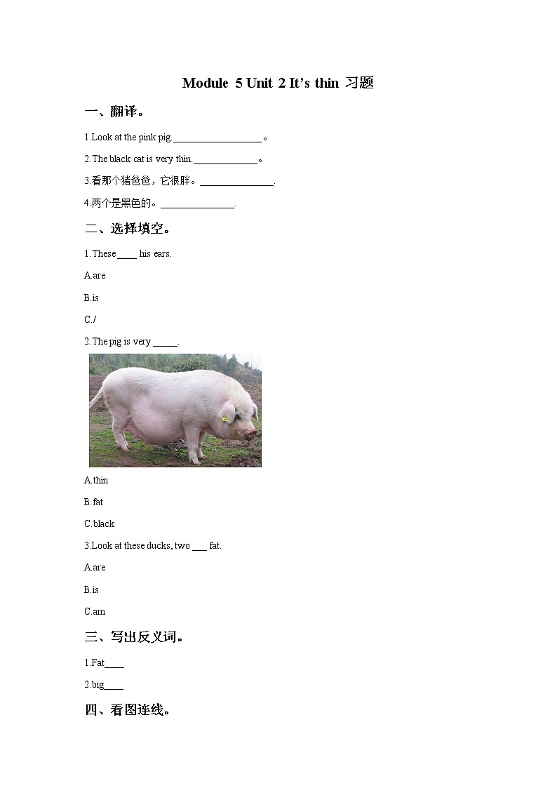 小学英语 Module 5 Unit 2 It%27s thin 习题1第1页