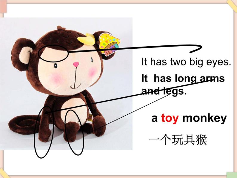 Unit 3 It has two big eyes 课件04