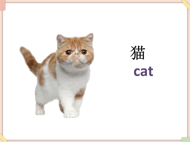 Unit 9 This is my fish——词汇第3页